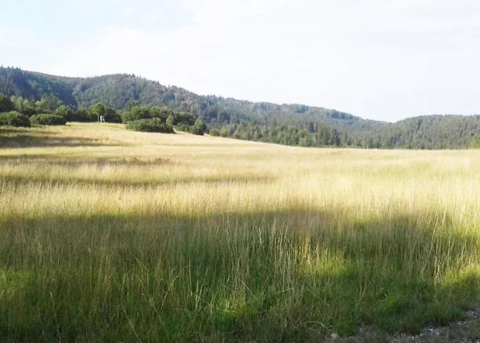 بيت للعطل Mit Wellness ألروده