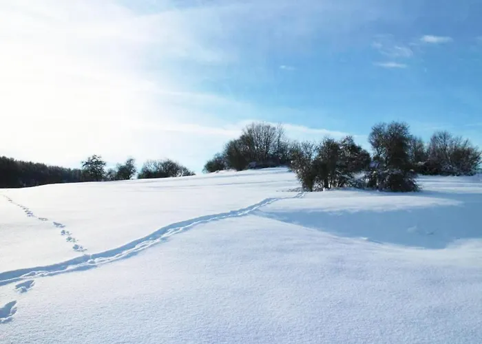 بيت للعطل Mit Wellness ألروده